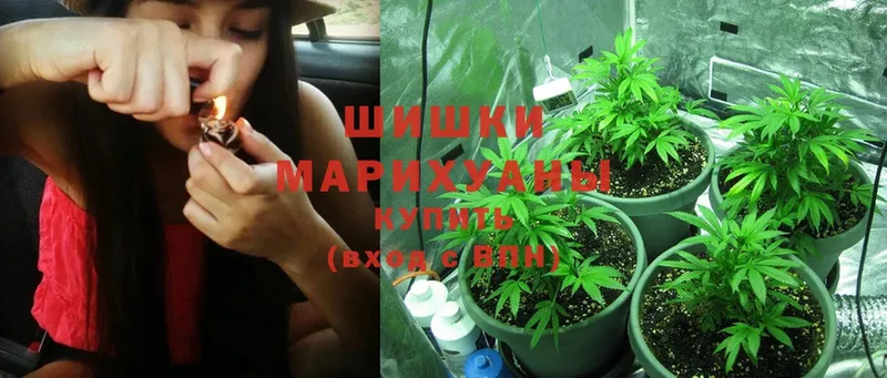 даркнет официальный сайт  купить наркоту  Каргат  Конопля THC 21% 